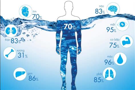 phần trăm nước trong cơ thể